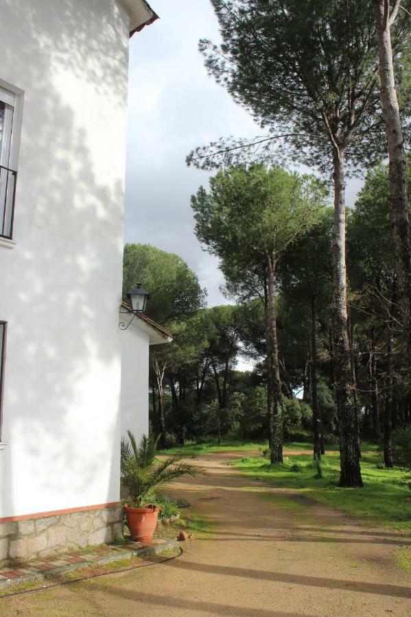 Vina Concepcion Villa Andújar Buitenkant foto