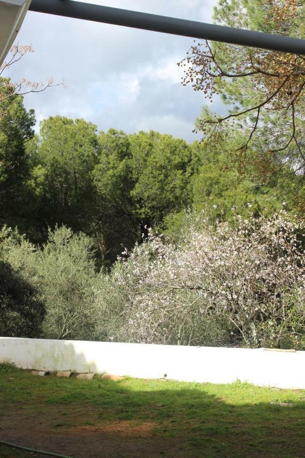 Vina Concepcion Villa Andújar Buitenkant foto