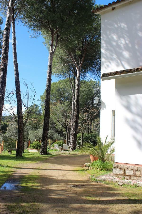 Vina Concepcion Villa Andújar Buitenkant foto