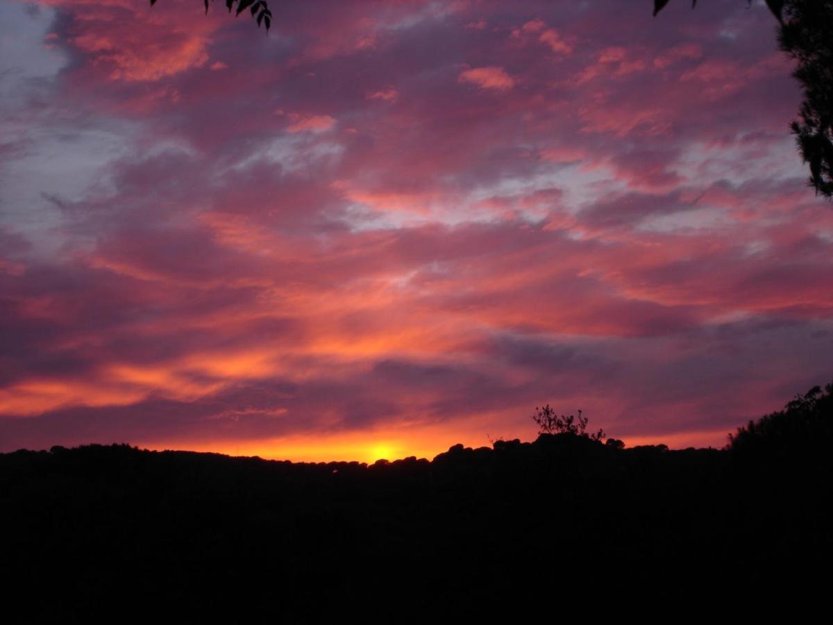 Vina Concepcion Villa Andújar Buitenkant foto